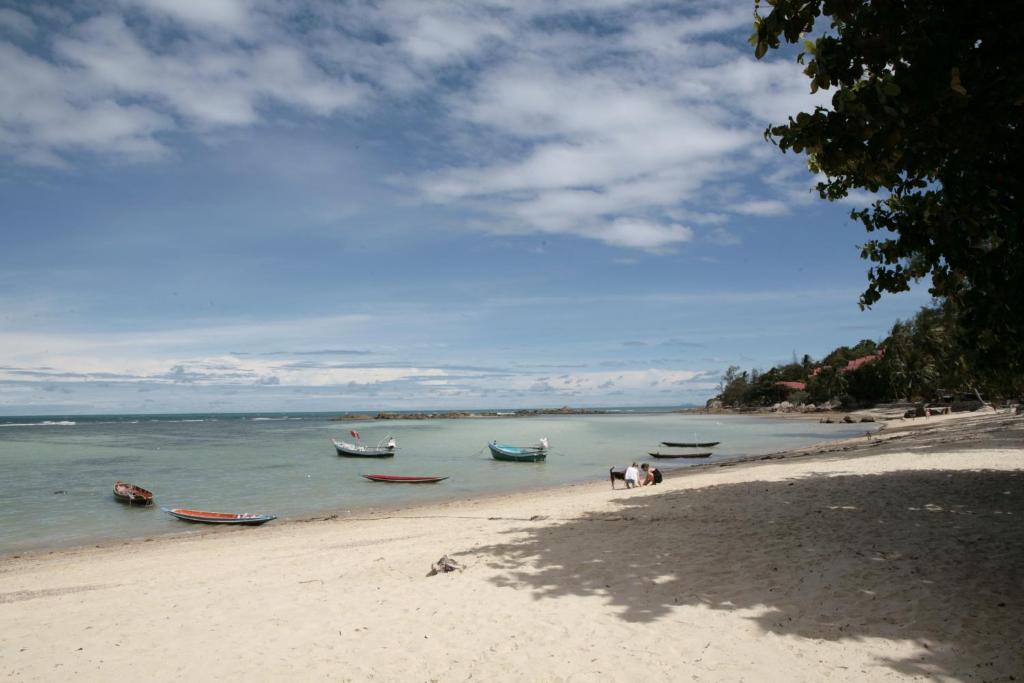 Jungle Hut Bungalows & Hotel – Koh Phangan
