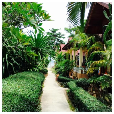Jungle Hut Bungalows & Hotel – Photos 4